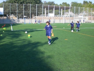 Temporada 2008-09 de PB Barcino