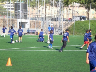 Temporada 2008-09 de PB Barcino