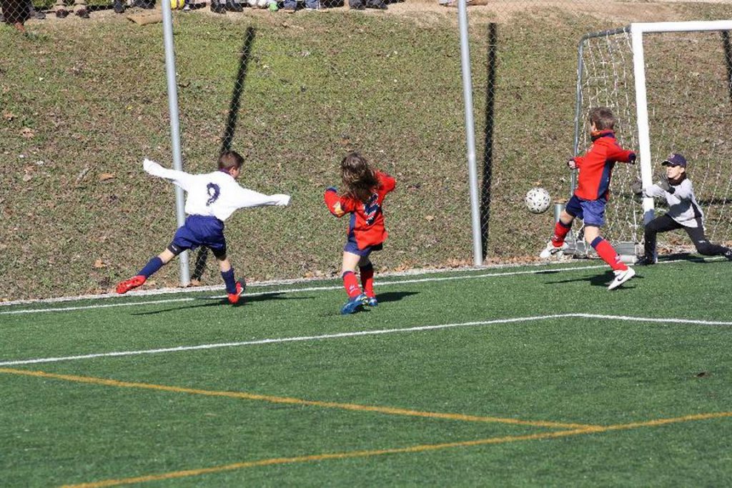 Temporada 2009-10 de PB Barcino