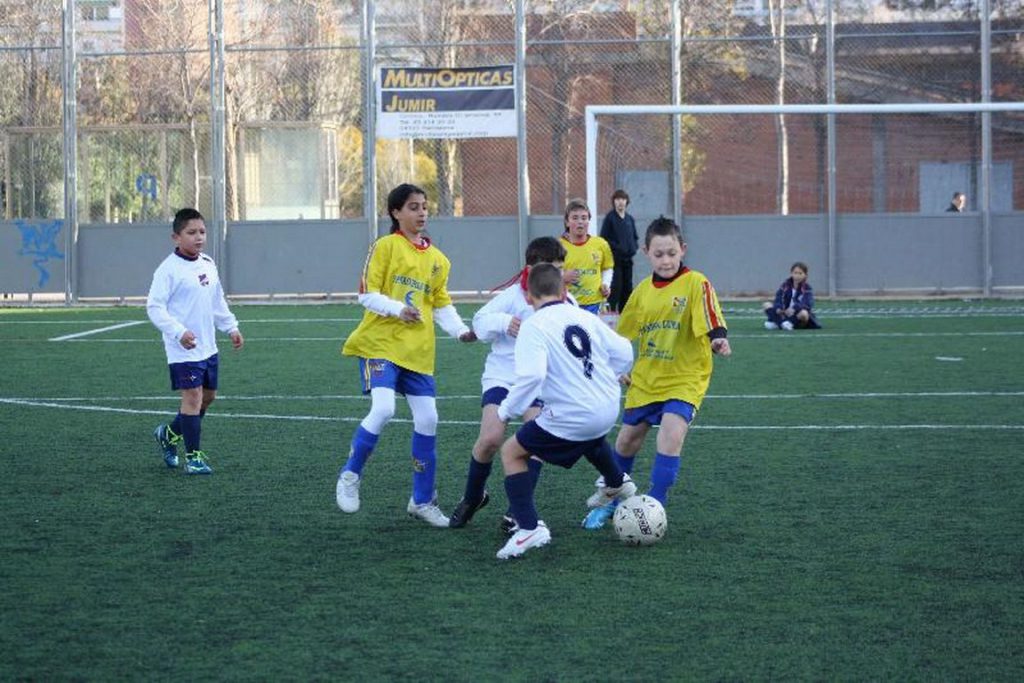 Temporada 2009-10 de PB Barcino