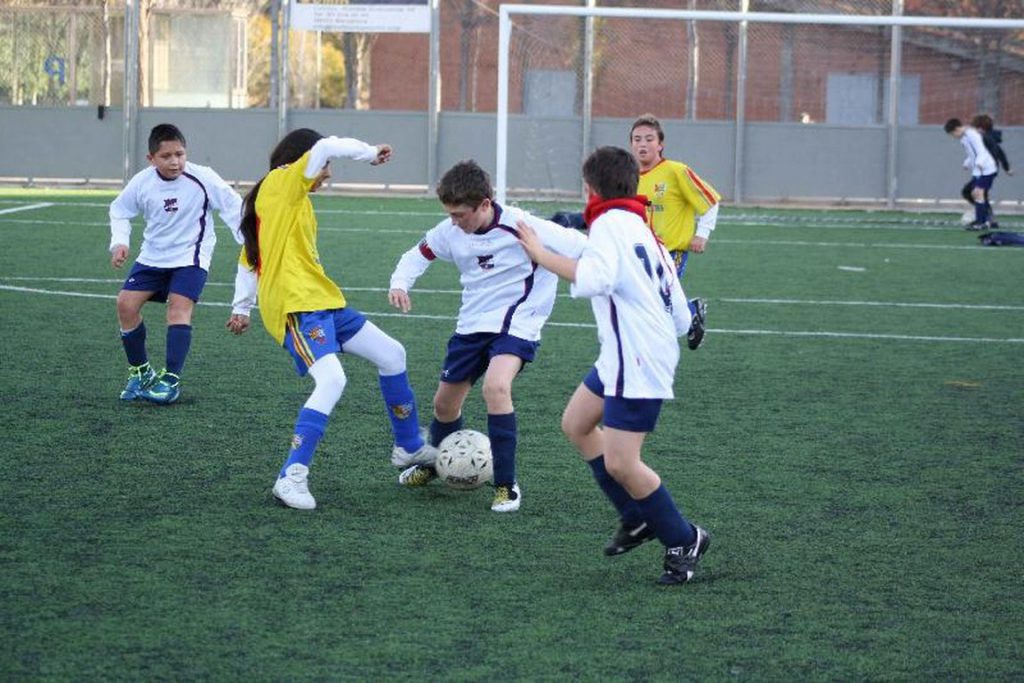 Temporada 2009-10 de PB Barcino
