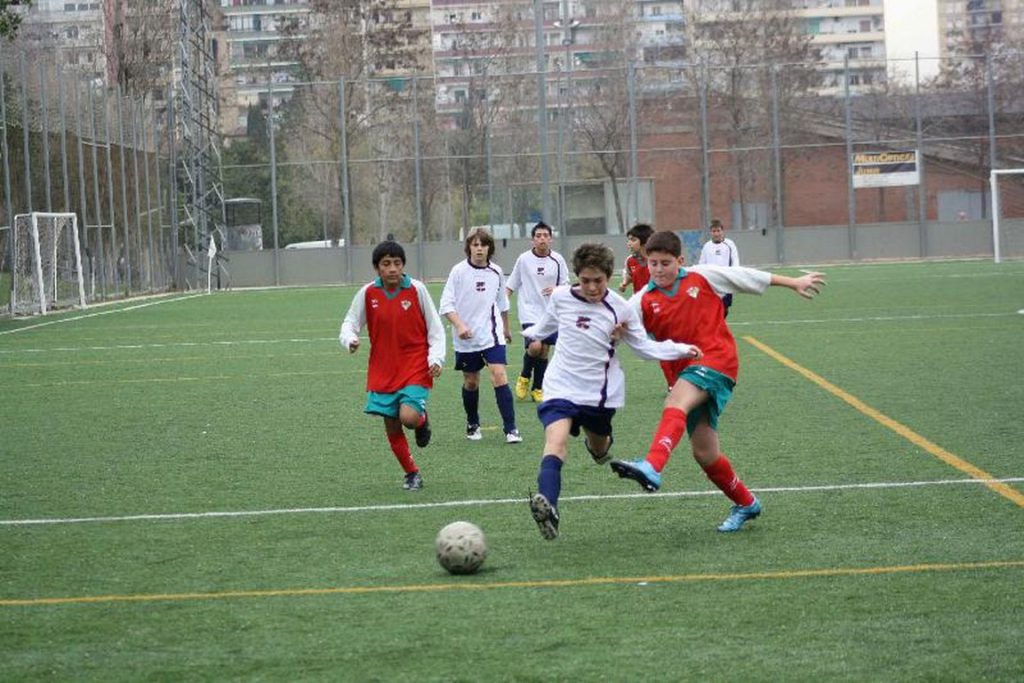 Temporada 2009-10 de PB Barcino