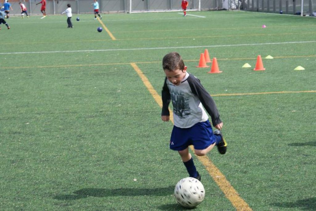 Temporada 2009-10 de PB Barcino