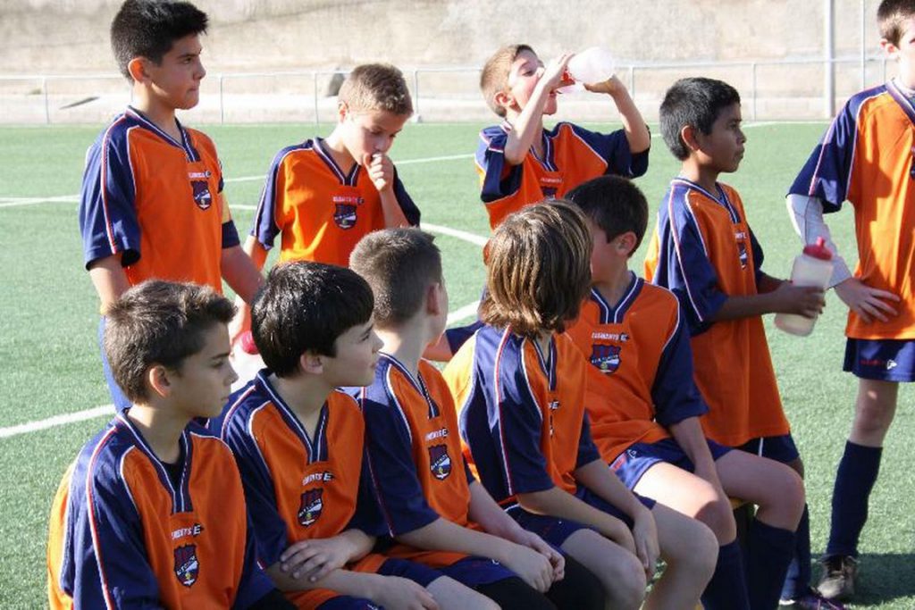 Temporada 2010-11 de PB Barcino