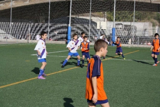 Temporada 2010-11 de PB Barcino