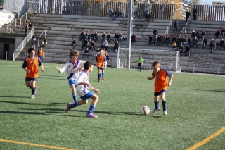 Temporada 2010-11 de PB Barcino