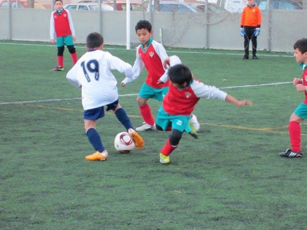 Temporada 2011-12 de PB Barcino