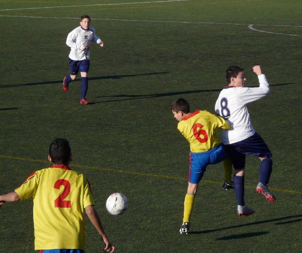 Temporada 2011-12 de PB Barcino