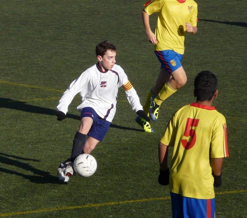 Temporada 2011-12 de PB Barcino