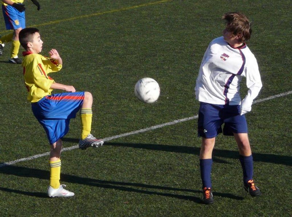 Temporada 2011-12 de PB Barcino