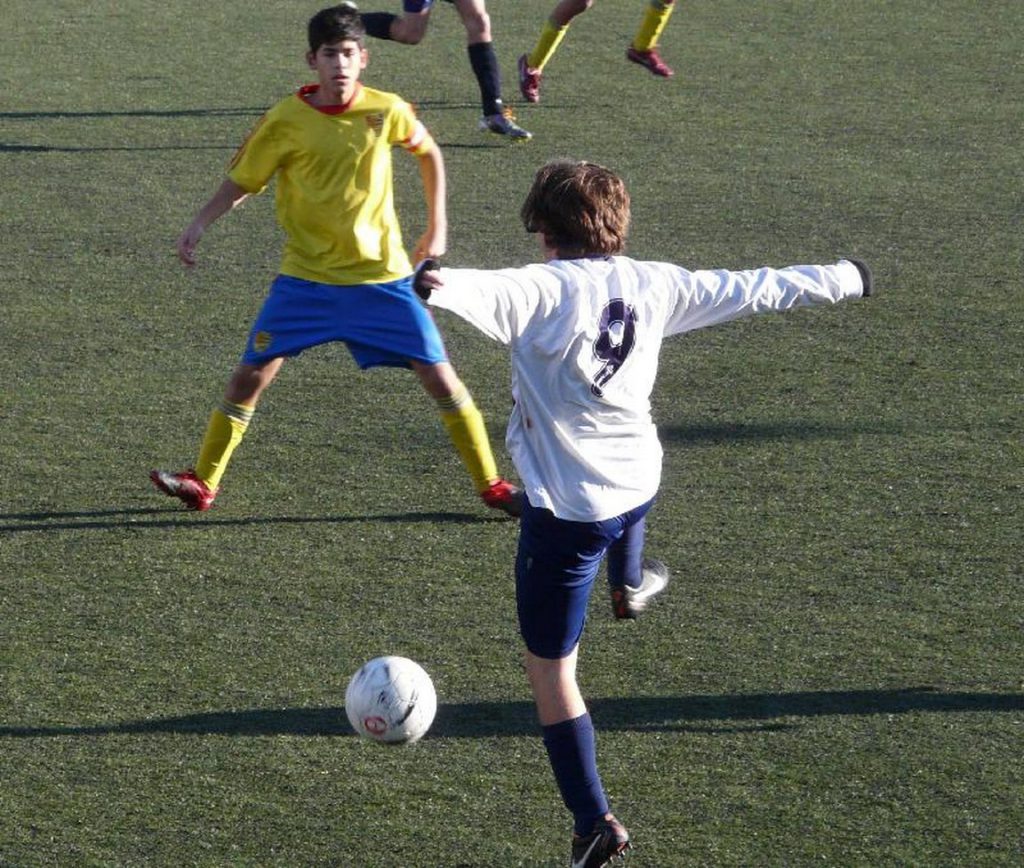 Temporada 2011-12 de PB Barcino