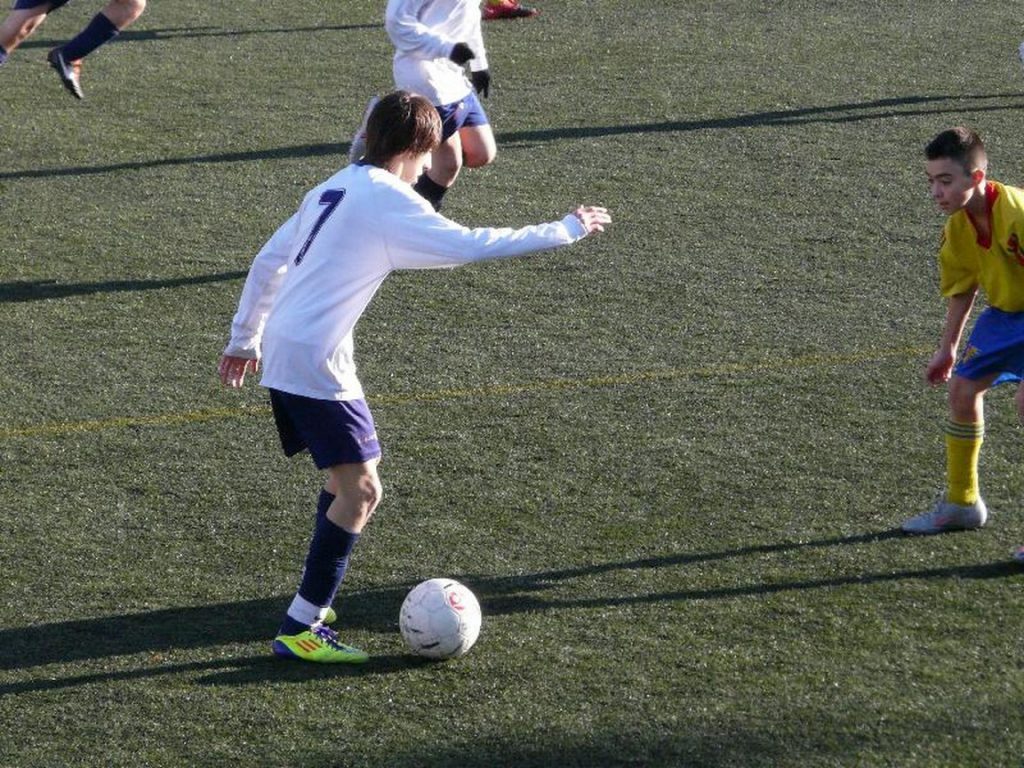 Temporada 2011-12 de PB Barcino