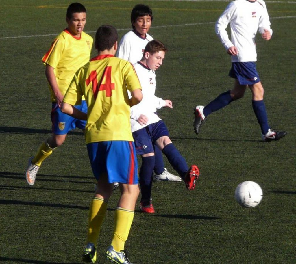 Temporada 2011-12 de PB Barcino