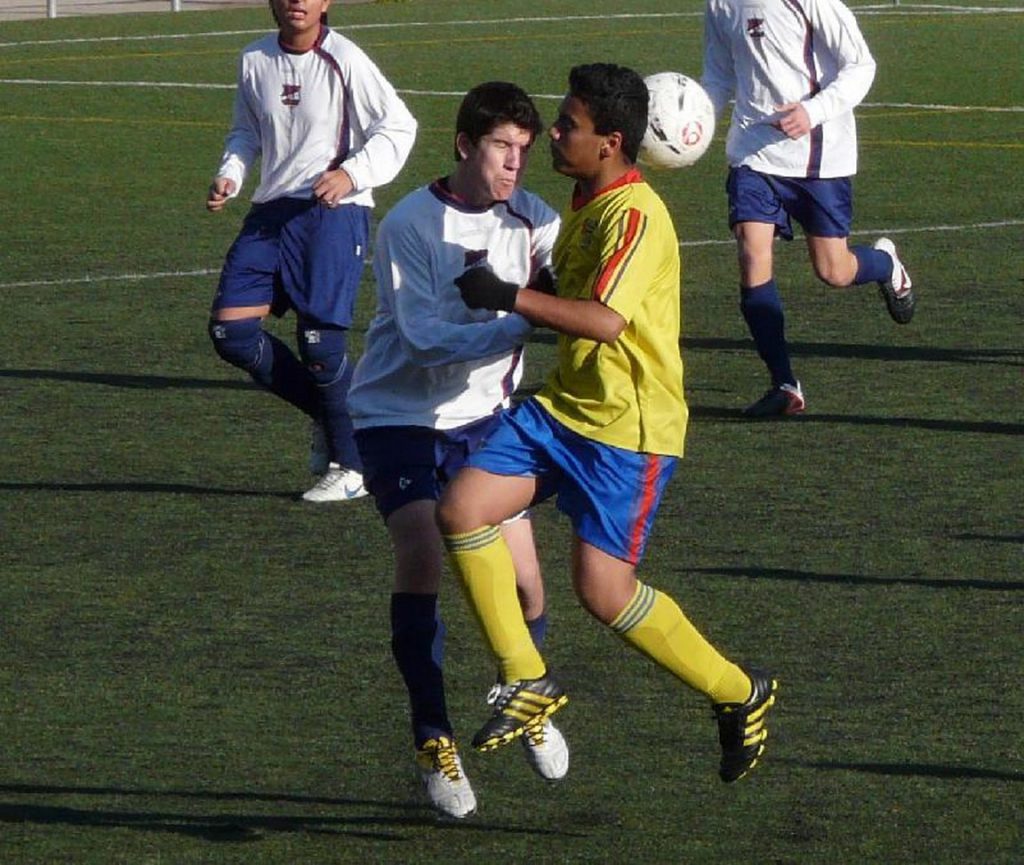 Temporada 2011-12 de PB Barcino