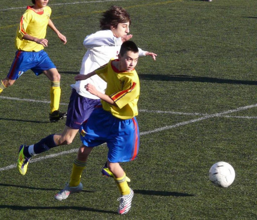 Temporada 2011-12 de PB Barcino