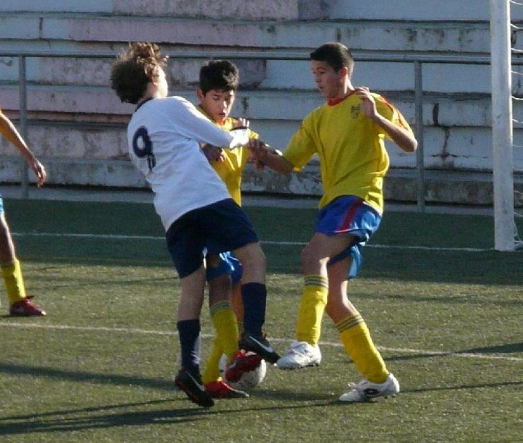 Temporada 2011-12 de PB Barcino