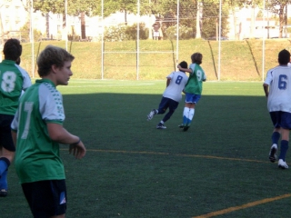 Temporada 2008-09 de PB Barcino