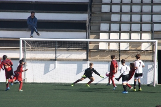 Temporada 2016-17 de PB Barcino