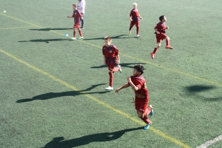 Temporada 2016-17 de PB Barcino