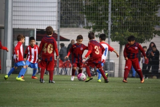 Temporada 2016-17 de PB Barcino