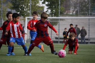 Temporada 2016-17 de PB Barcino