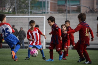 Temporada 2016-17 de PB Barcino