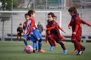 Temporada 2016-17 de PB Barcino