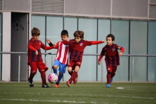 Temporada 2016-17 de PB Barcino