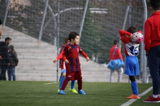 Temporada 2016-17 de PB Barcino