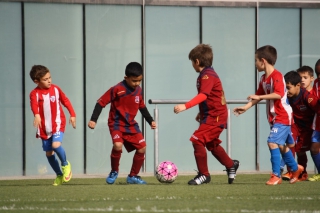 Temporada 2016-17 de PB Barcino