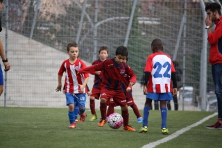 Temporada 2016-17 de PB Barcino