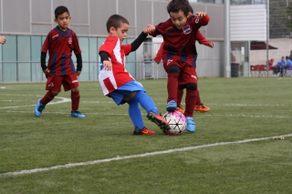 Temporada 2016-17 de PB Barcino