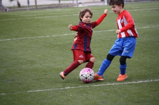 Temporada 2016-17 de PB Barcino