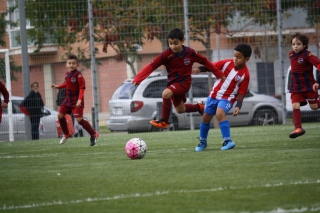 Temporada 2016-17 de PB Barcino