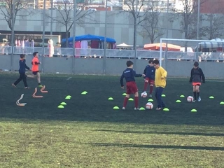 Temporada 2016-17 de PB Barcino