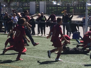 Temporada 2016-17 de PB Barcino