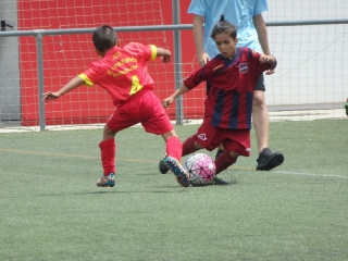 Temporada 2016-17 de PB Barcino