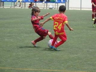 Temporada 2016-17 de PB Barcino