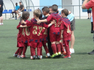 Temporada 2016-17 de PB Barcino