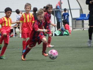 Temporada 2016-17 de PB Barcino