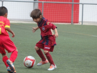 Temporada 2016-17 de PB Barcino