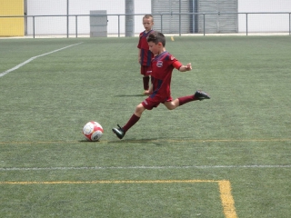 Temporada 2016-17 de PB Barcino