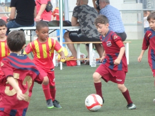 Temporada 2016-17 de PB Barcino