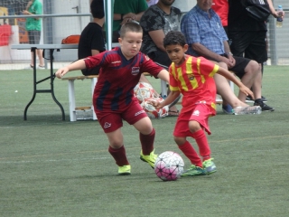 Temporada 2016-17 de PB Barcino