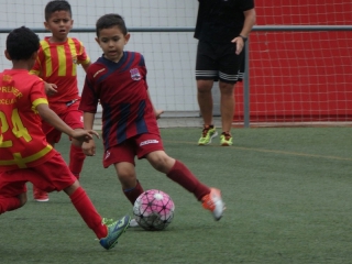 Temporada 2016-17 de PB Barcino