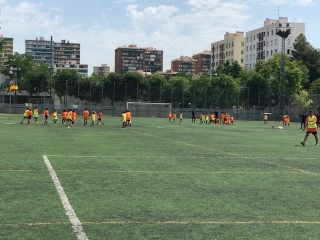 Temporada 2016-17 de PB Barcino