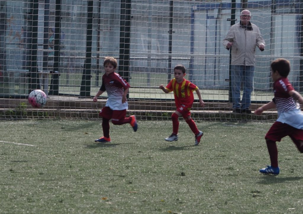 Temporada 2018-19 de PB Barcino