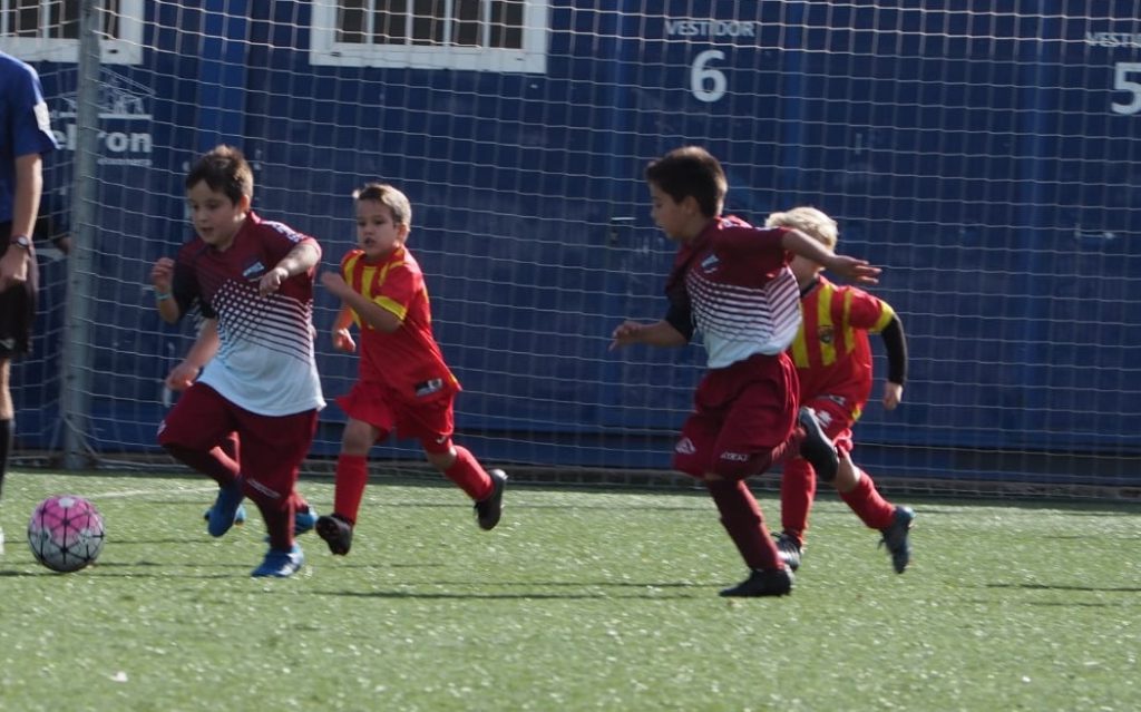 Temporada 2018-19 de PB Barcino