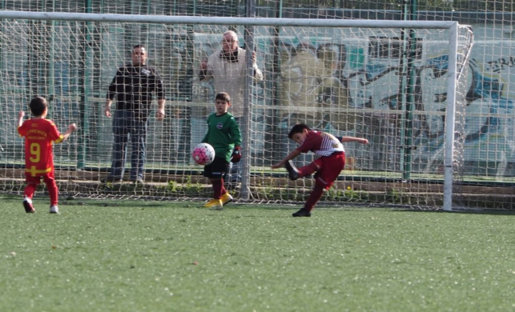 Temporada 2018-19 de PB Barcino