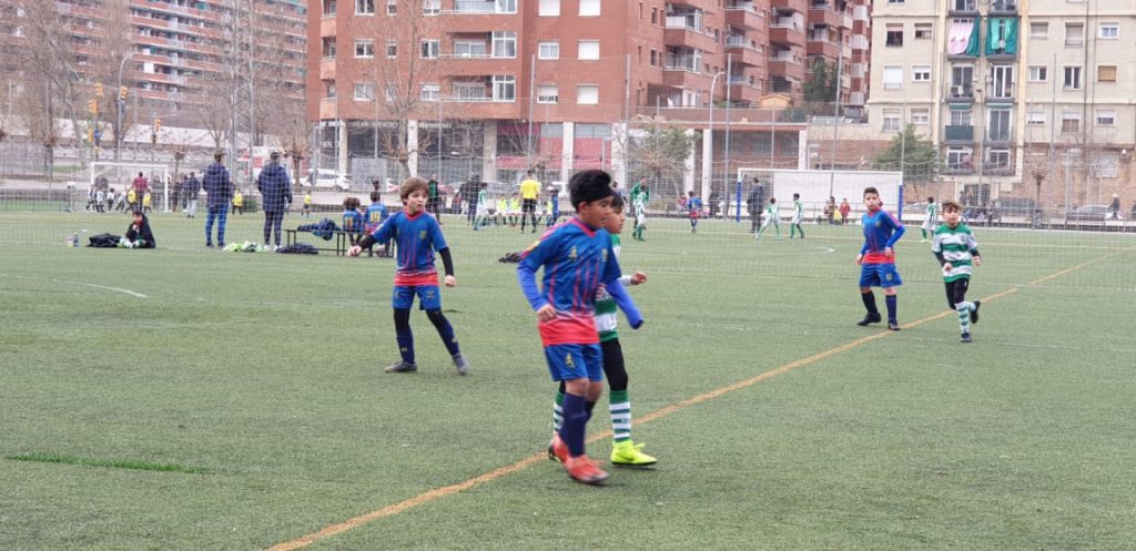 Temporada 2019-20 de PB Barcino